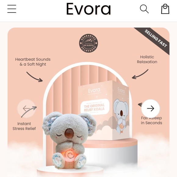 Evora Koala - Picture 1 of 2